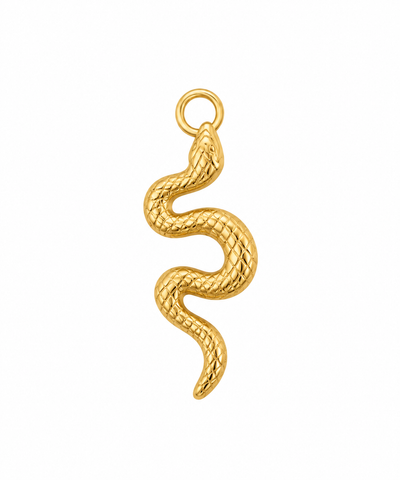 Snake Charm