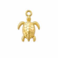 Turtle Charm