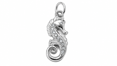 Zircon Seahorse Charm